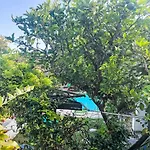 Bella Vista - Dol284 By Interhome * Bellissimi