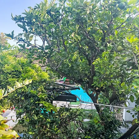 Bella Vista - Dol284 By Interhome * Bellissimi